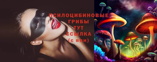 первитин Богородицк