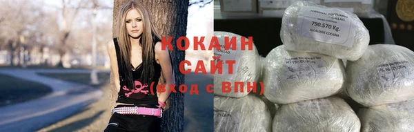 стафф Богородск