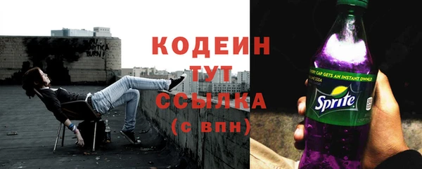 первитин Богородицк