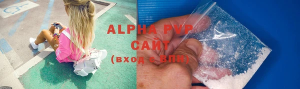 гашик Богданович
