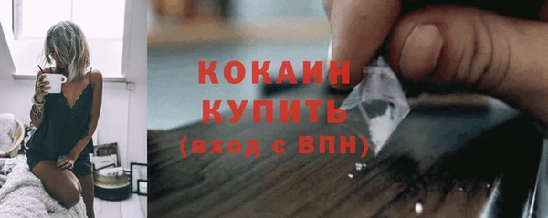 гашик Богданович