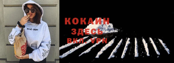стафф Богородск