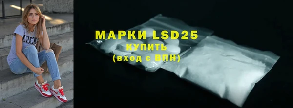гашик Богданович