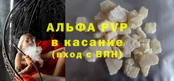 гашик Богданович