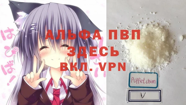 гашик Богданович