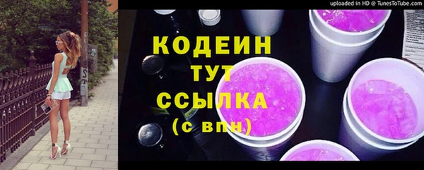 гашик Богданович