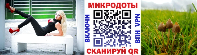 Галлюциногенные грибы Magic Shrooms  гидра онион  Гусиноозёрск  купить  цена 